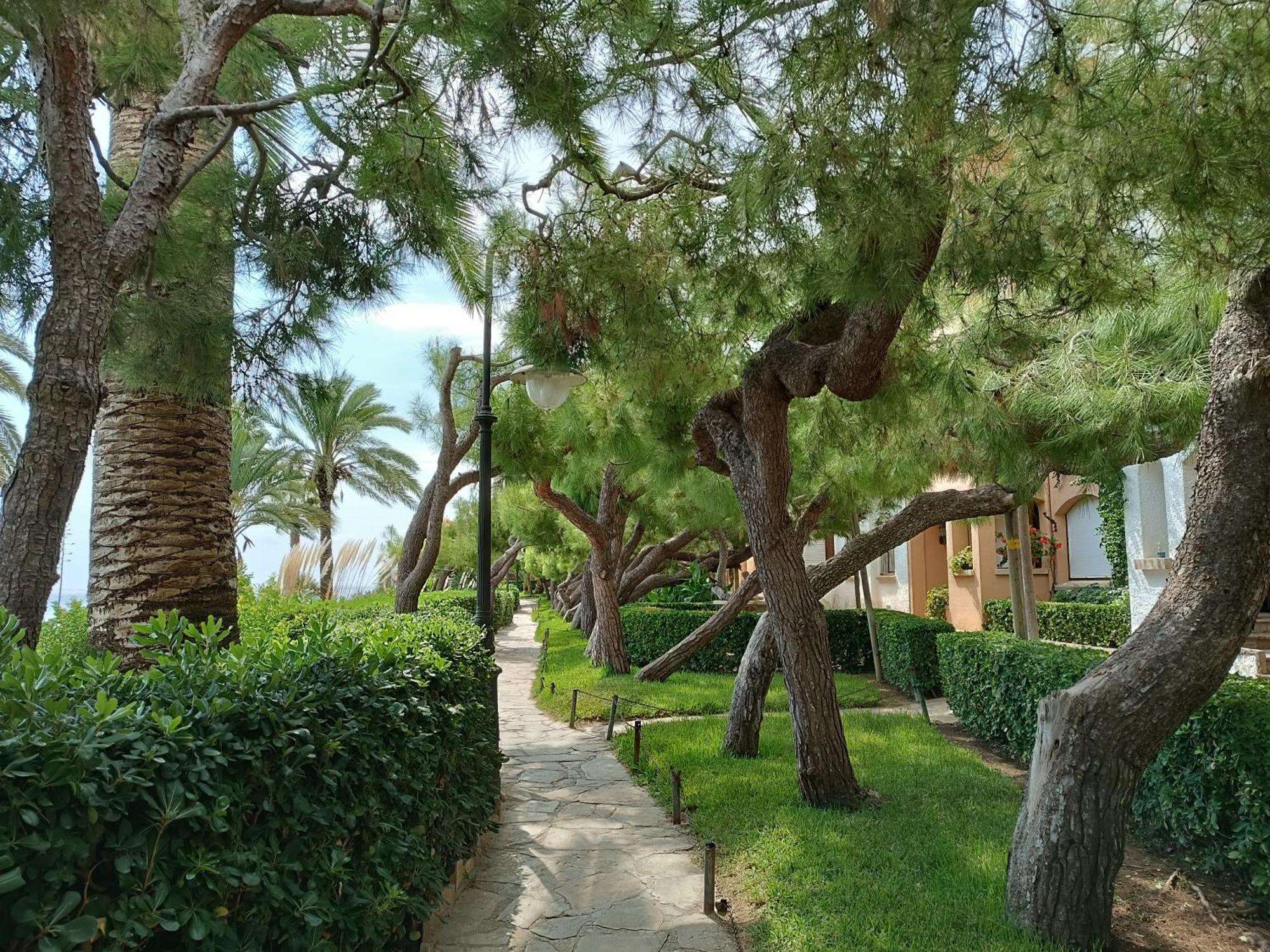 Lluna Beach Bara Roda de Bera Exterior photo